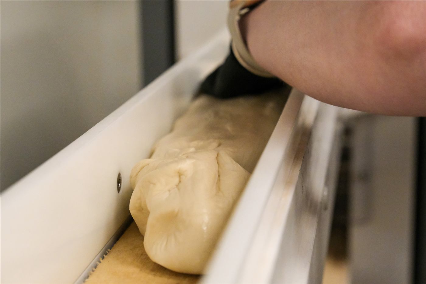 Hands shaping fresh bagel dough