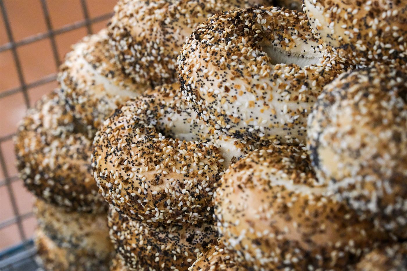 Everything bagels up close